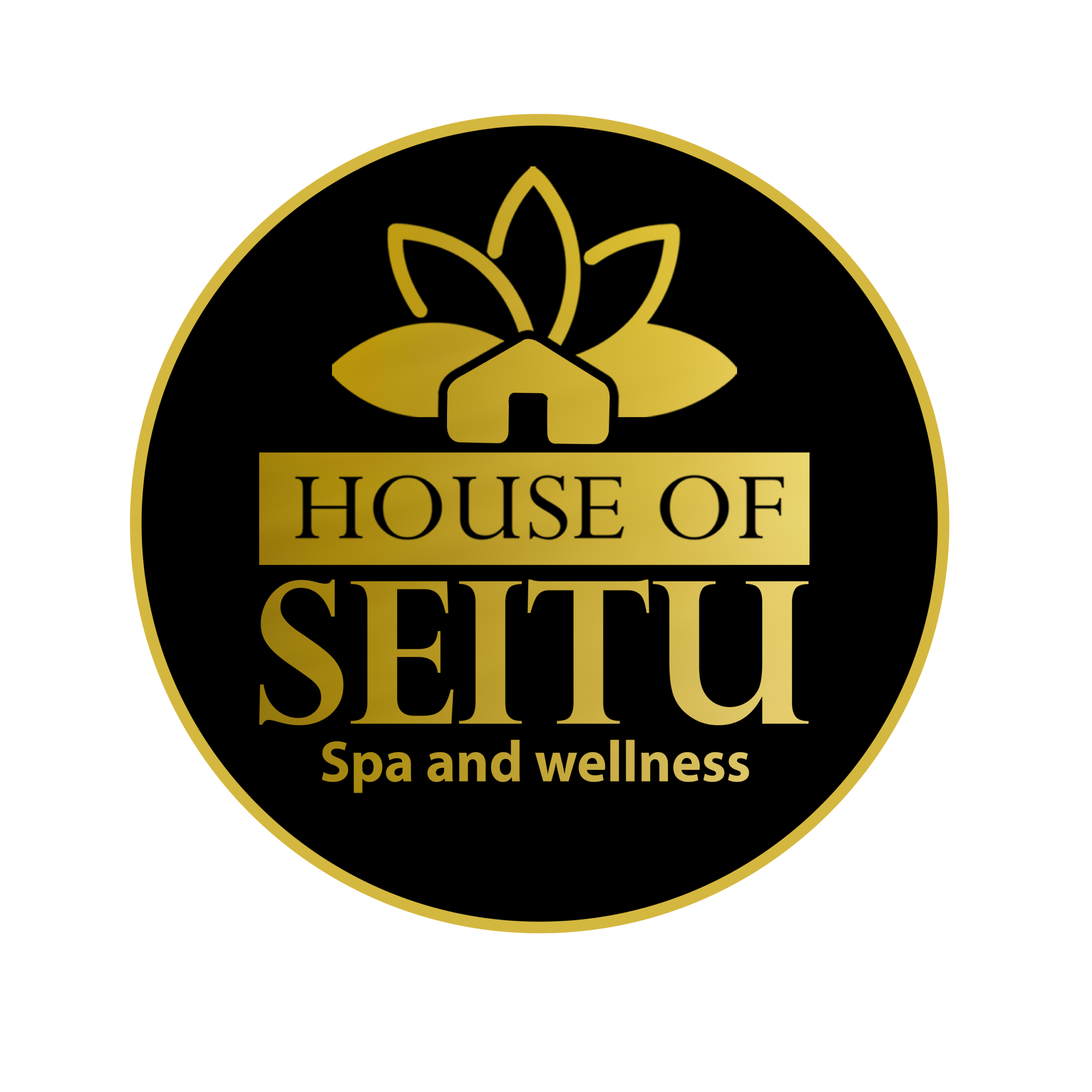House Of Seitu